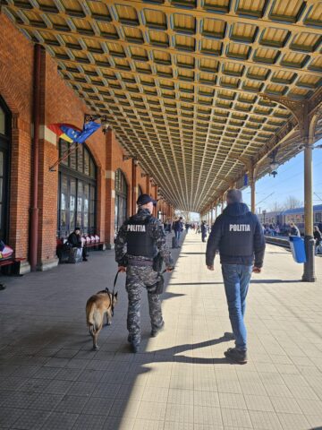 Polițiștii au găsit zece călători care circulau cu trenul fără a avea bilete