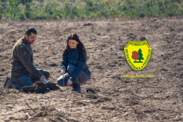 RNP a dat startul Lunii Plantării Arborilor și al campaniei de împăduriri din această primăvară