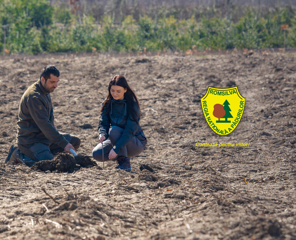 RNP a dat startul Lunii Plantării Arborilor și al campaniei de împăduriri din această primăvară
