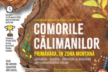 Concursul ”Comorile Călimanilor” – educație prin artă și cultură, la start