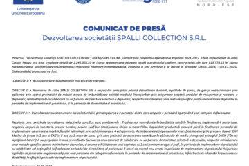 Dezvoltarea societății SPALLI COLLECTION S.R.L.