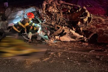 Bărbat mort după un accident pe E85, la Pătrăuți