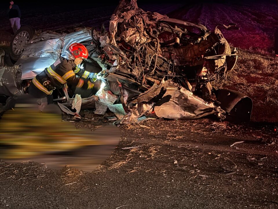 Bărbat mort după un accident pe E85, la Pătrăuți