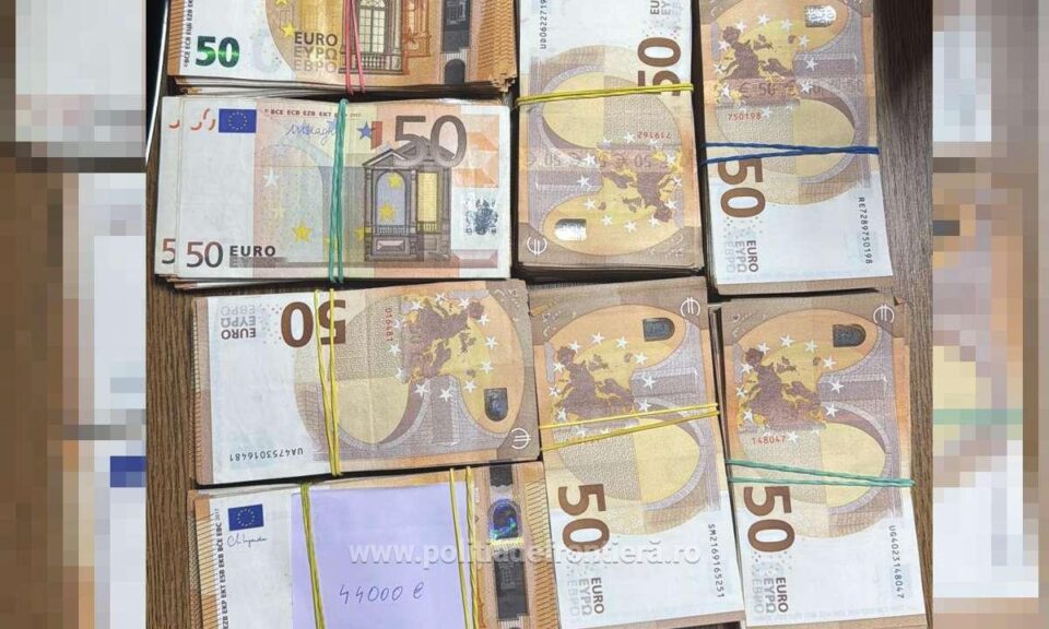 Un bărbat a fost lăsat fără 44.000 de euro după ce a ”uitat” să îi declare la trecerea frontierei
