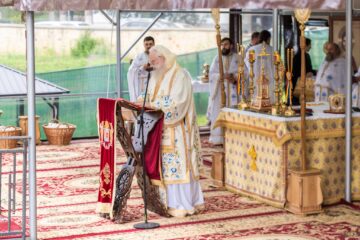 Decalog la Ziua Mondială a Sindromului Down (21 martie)