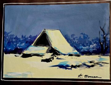 Radu Bercea – între umbrele destinului și luminile creației