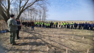 O viitoare pădure cu 2500 de arbori, plantată cu voluntari, la Ocolul Silvic Dolhasca