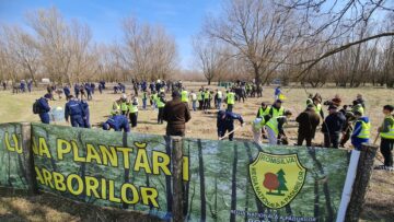 O viitoare pădure cu 2500 de arbori, plantată cu voluntari, la Ocolul Silvic Dolhasca