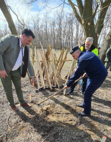 O viitoare pădure cu 2500 de arbori, plantată cu voluntari, la Ocolul Silvic Dolhasca