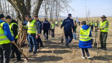 O viitoare pădure cu 2500 de arbori, plantată cu voluntari, la Ocolul Silvic Dolhasca