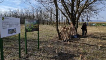 O viitoare pădure cu 2500 de arbori, plantată cu voluntari, la Ocolul Silvic Dolhasca