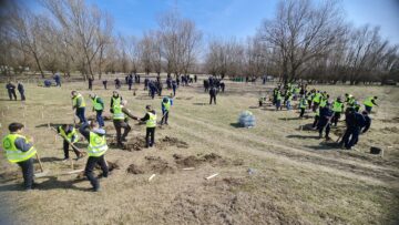 O viitoare pădure cu 2500 de arbori, plantată cu voluntari, la Ocolul Silvic Dolhasca