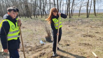 O viitoare pădure cu 2500 de arbori, plantată cu voluntari, la Ocolul Silvic Dolhasca