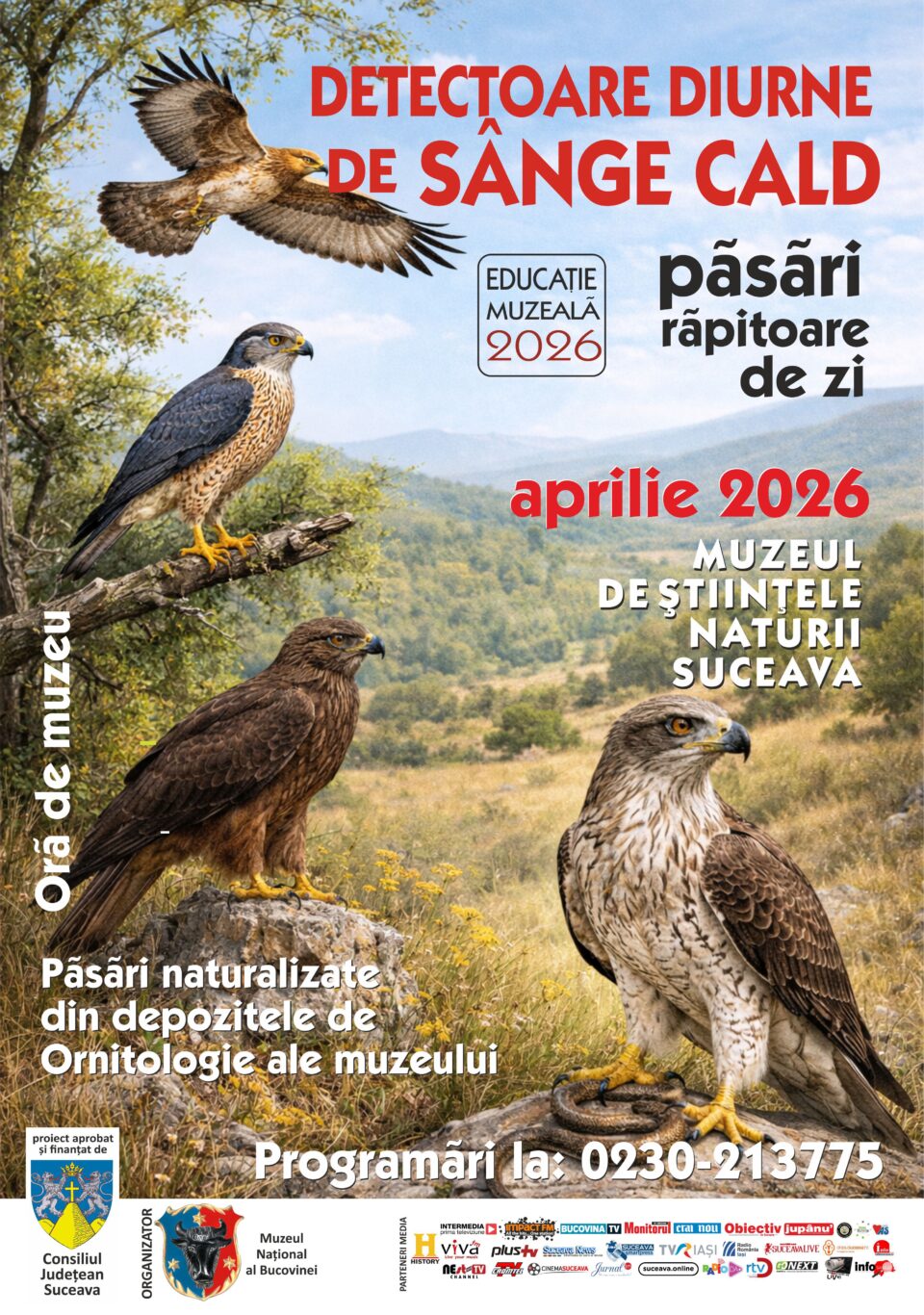 Lecția de muzeu „Detectori diurni de sânge cald – păsări răpitoare de zi”, la Muzeul de Științele Naturii