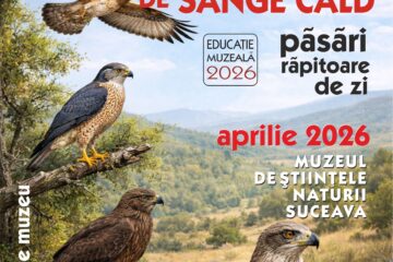Lecția de muzeu „Detectori diurni de sânge cald – păsări răpitoare de zi”, la Muzeul de Științele Naturii