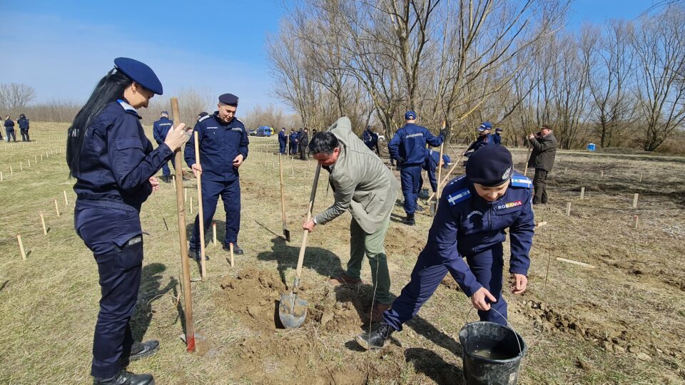 O viitoare pădure cu 2500 de arbori, plantată cu voluntari, la Ocolul Silvic Dolhasca