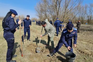 O viitoare pădure cu 2500 de arbori, plantată cu voluntari, la Ocolul Silvic Dolhasca