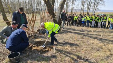 O viitoare pădure cu 2500 de arbori, plantată cu voluntari, la Ocolul Silvic Dolhasca