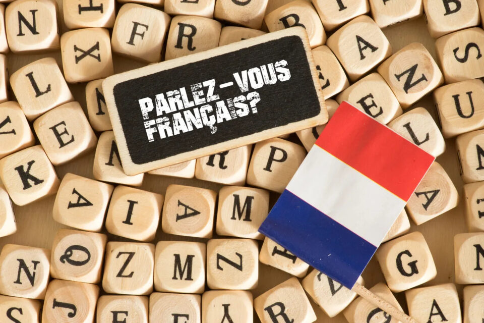 11 elevi în lotul Sucevei de la Olimpiada de limba franceză