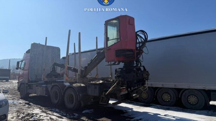 Premieră în lumea afaceriștilor ilegali cu lemn: Patronul Pensiunii Codrii Bucovinei și un angajat, reținuți și propuși pentru arestare pe 30 de zile