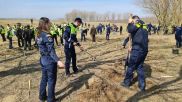 O viitoare pădure cu 2500 de arbori, plantată cu voluntari, la Ocolul Silvic Dolhasca