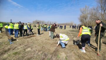 O viitoare pădure cu 2500 de arbori, plantată cu voluntari, la Ocolul Silvic Dolhasca