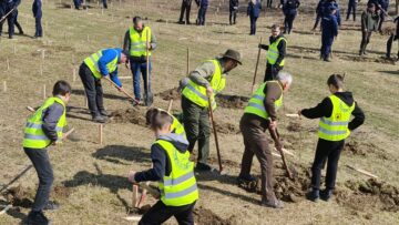 O viitoare pădure cu 2500 de arbori, plantată cu voluntari, la Ocolul Silvic Dolhasca