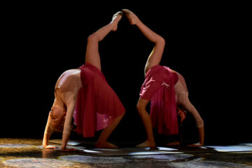 Cea de-a IX-a ediție a Festivalului-concurs județean Soyons Francophones