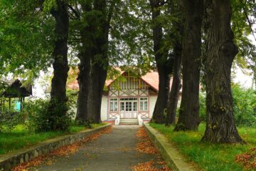 Teatrul Municipal „Grigore Vasiliu Birlic” din Suceava