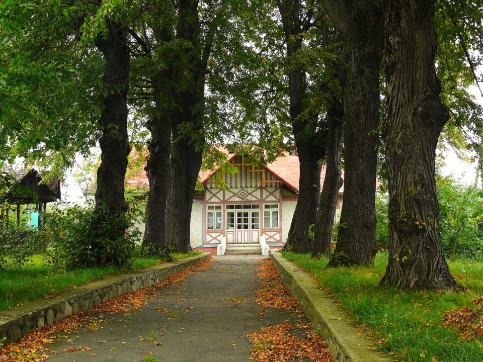 Teatrul Municipal „Grigore Vasiliu Birlic” din Suceava