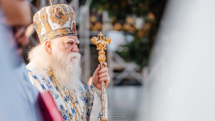 Decalog la Ziua Poliției Române (25 Martie)