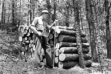 „Un administrator silvic”