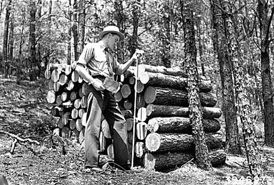 „Un administrator silvic” „Un administrator silvic”