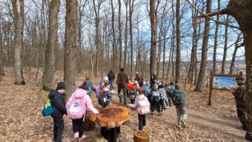Primii vizitatori ai „Potecii educative Pădurea Burdujeni”