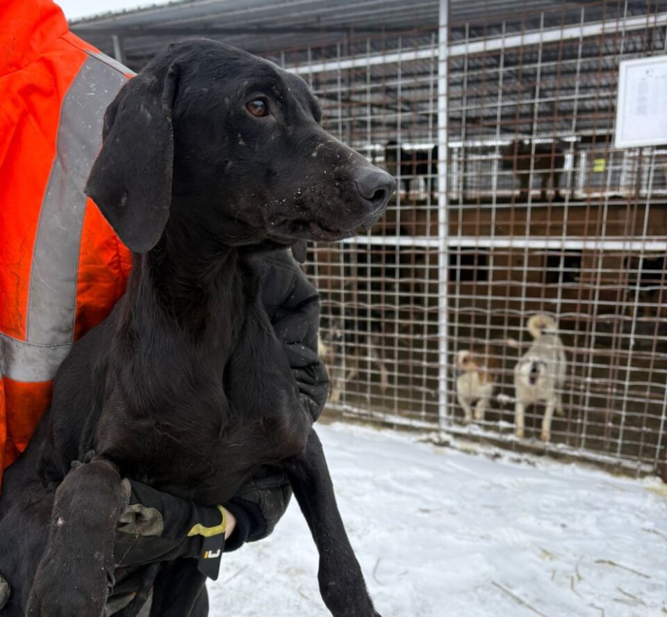 DREPT LA REPLICĂ Asociația „Casa lui Patrocle” Suceava