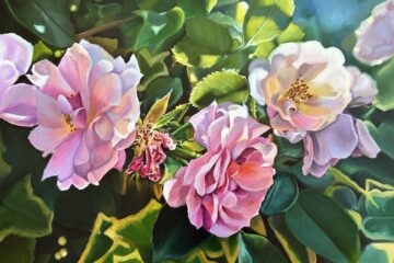 Marele premiu IACOB CRINA- Studiu în roz pal (Sibiu)