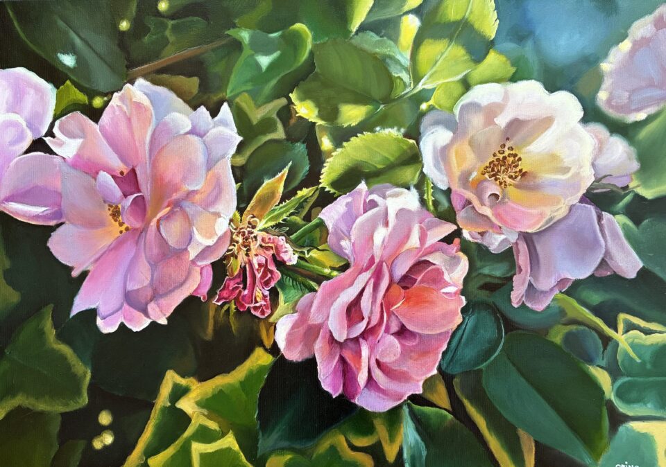 Marele premiu IACOB CRINA- Studiu în roz pal (Sibiu)