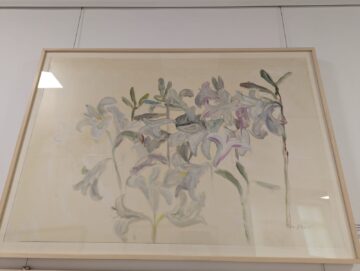 Puritatea crinului din lucrările semnate de artista Doina Mihăilescu trebuie să ne îndemne la meditație