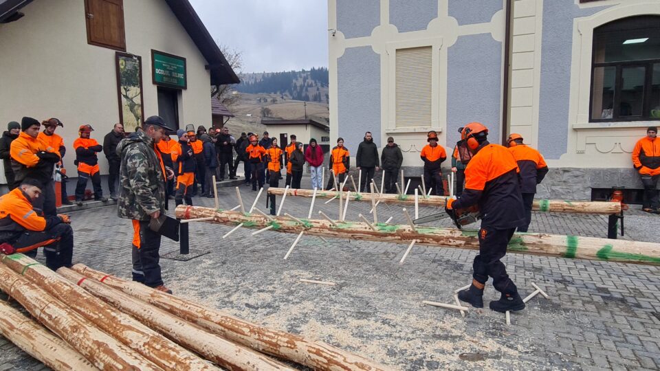 Concursul „Cel mai bun fasonator”, desfășurat la OS Breaza, și-a desemnat câștigătorii