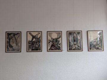 Raluca Schipor Baban: „ oferă un sens și o semnificație viziunii artistice individuale, o devoalare a conceptelor estetice colective”