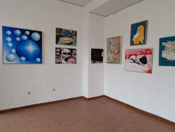 Raluca Schipor Baban: „ oferă un sens și o semnificație viziunii artistice individuale, o devoalare a conceptelor estetice colective”