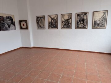 Raluca Schipor Baban: „ oferă un sens și o semnificație viziunii artistice individuale, o devoalare a conceptelor estetice colective”