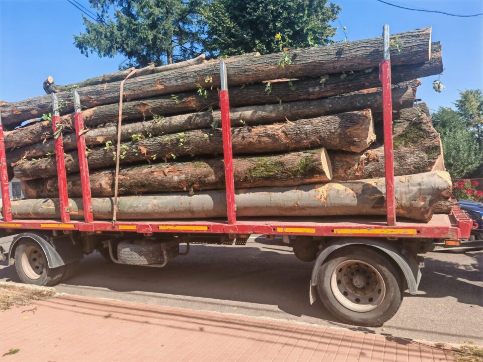 Amenzi consistente pentru doi șoferi care au depășit tonajul admis la transportul de material lemnos