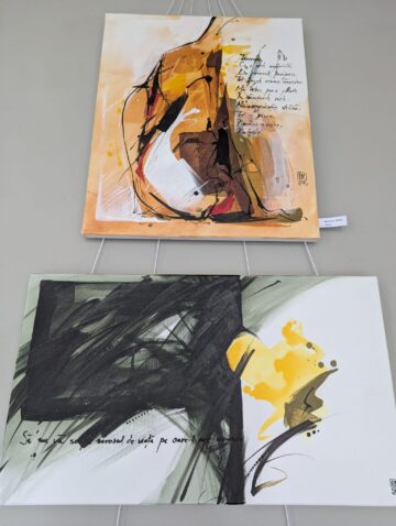 Raluca Schipor Baban: „ oferă un sens și o semnificație viziunii artistice individuale, o devoalare a conceptelor estetice colective”