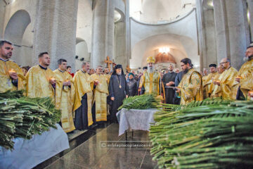 Sucevenii L-au însoțit pe Hristos, precum odinioară în Ierusalim