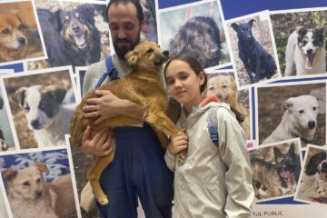 Jumătate dintre cățelușii prezentați la Târgul de adopții din weekend și-au găsit familii