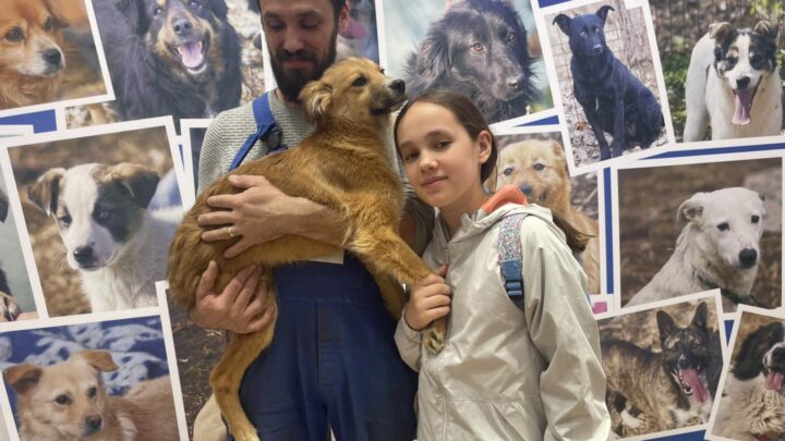 Jumătate dintre cățelușii prezentați la Târgul de adopții din weekend și-au găsit familii