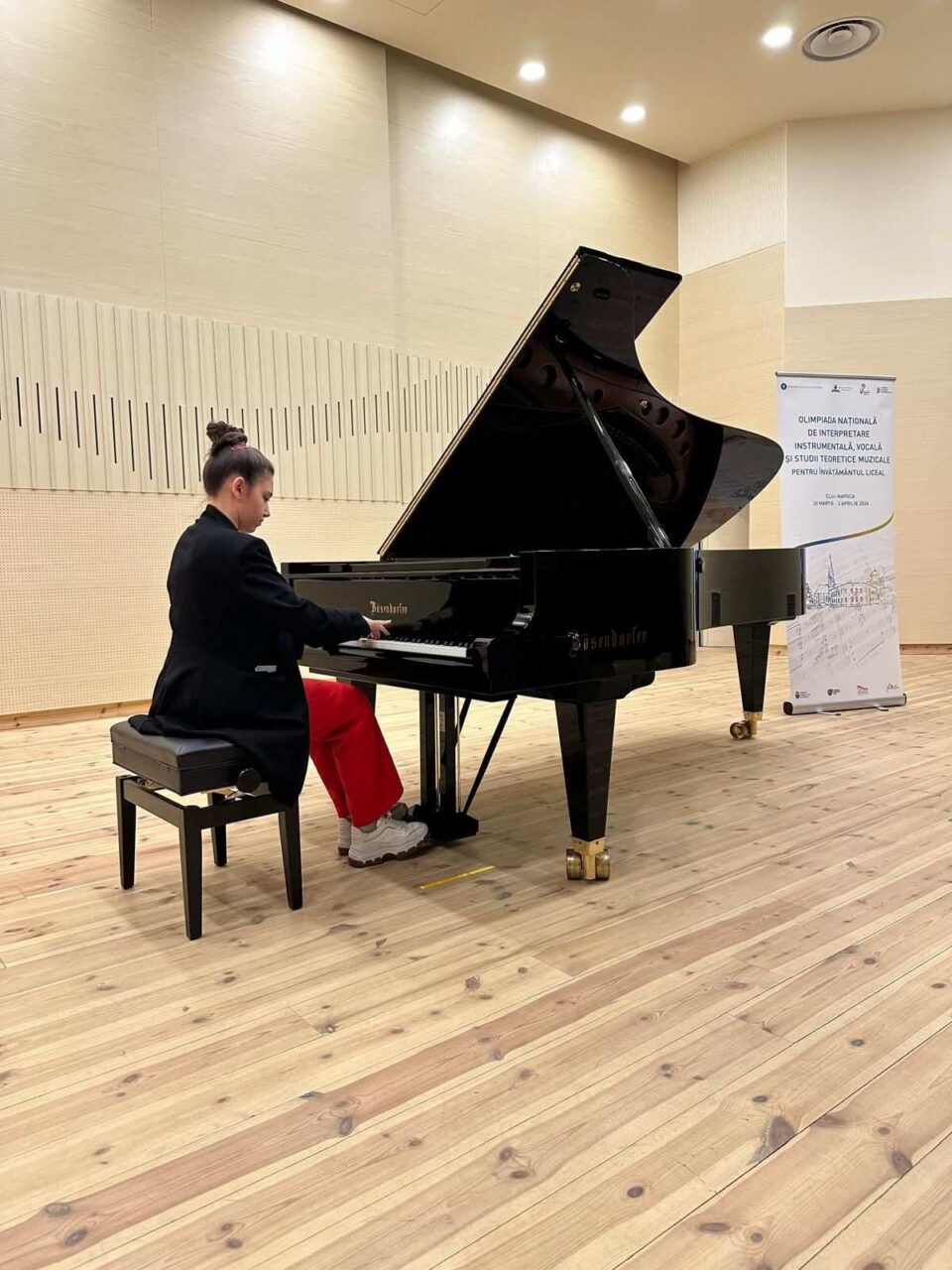 Olteanu Andra Paula, pian