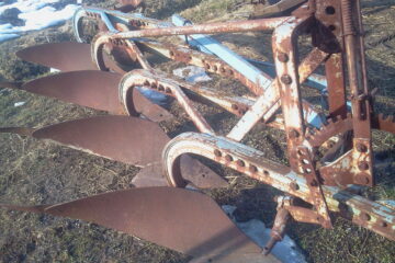 „Şi nu erau mai proşti decît noi”