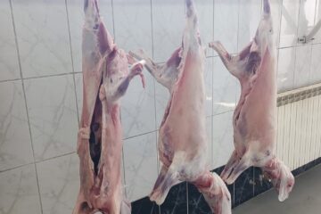 Au apărut la vânzare mieii în piețele din Suceava